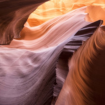 Framed Lower Wave IV Print