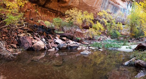 Framed Reflecting pond in Zion National Park, Springdale, Utah, USA Print