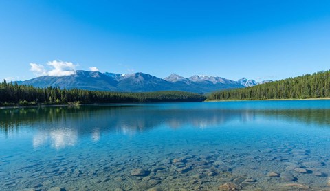 Framed Patricia Lake with mountains in the background, Jasper National Park, Alberta, Canada Print