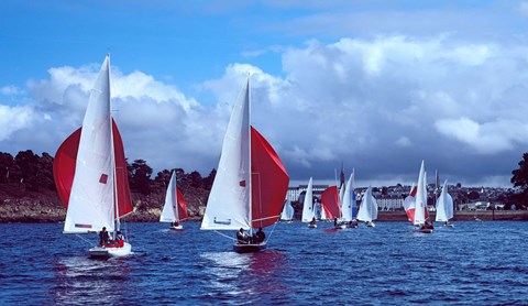 Framed Dragon regatta in Baie De Douarnenez, Finistere, Brittany, France Print