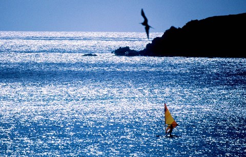 Framed Windsurfer in the sea, Sint Maarten, Netherlands Antilles Print