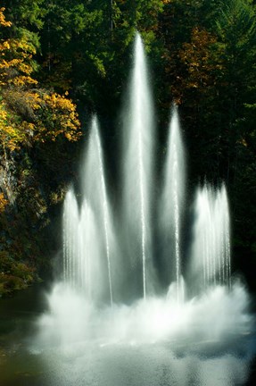 Framed Waterfall in a garden, Butchart Gardens, Victoria, Vancouver Island, British Columbia, Canada Print