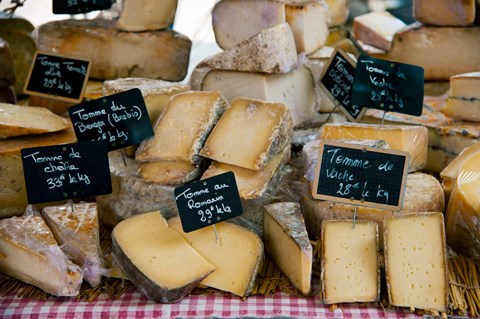 Framed Cheese for sale at a market stall, Lourmarin, Vaucluse, Provence-Alpes-Cote d&#39;Azur, France Print