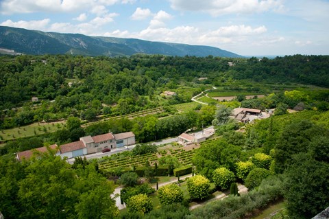 Framed Aerial view of a plant nursery, Menerbes, Vaucluse, Provence-Alpes-Cote d&#39;Azur, France Print