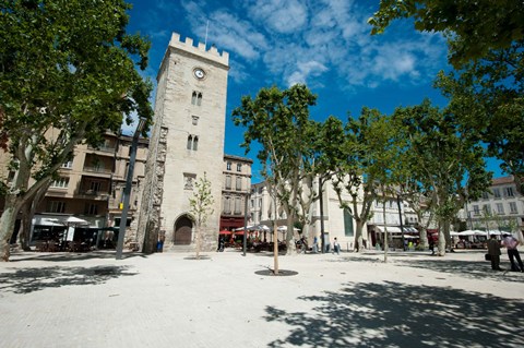 Framed Buildings in a town, Place Saint-Jean le Vieux, Avignon, Vaucluse, Provence-Alpes-Cote d&#39;Azur, France Print