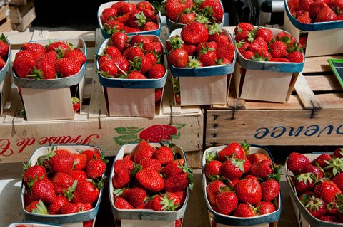 Framed Strawberries for sale at weekly market, Arles, Bouches-Du-Rhone, Provence-Alpes-Cote d&#39;Azur, France Print