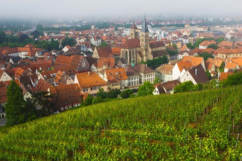 Framed City viewed from vineyard, Esslingen-Am-Neckar, Baden-Wurttemberg, Germany Print