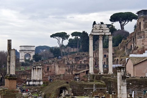 Framed Ruins of a building, Roman Forum, Rome, Lazio, Italy Print