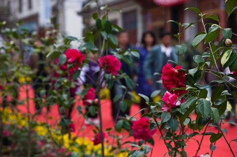 Framed People at spring flower festival, Old Town, Dali, Yunnan Province, China Print