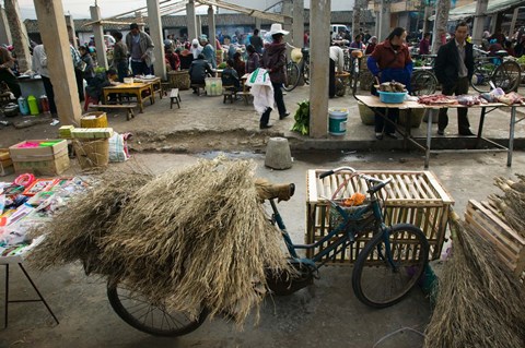 Framed Traditional town market with grass on bicycle for making brooms, Xizhou, Erhai Hu Lake Area, Yunnan Province, China Print