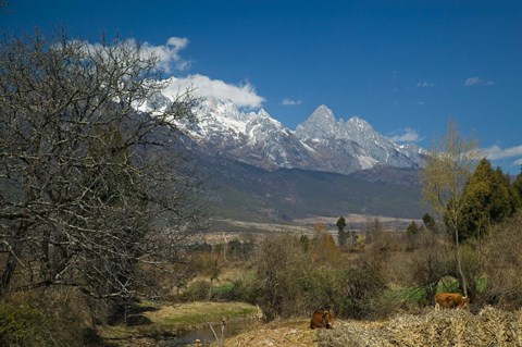 Framed Jade Dragon Snow Mountain viewed from Baisha, Lijiang, Yunnan Province, China Print