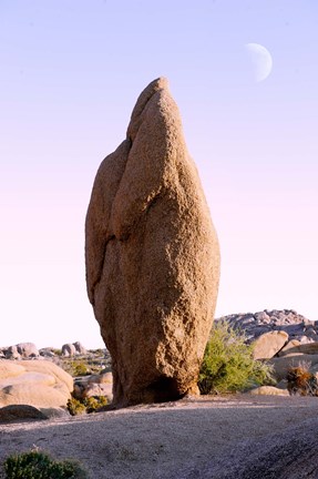 Framed Rock formations at Joshua Tree National Park, California, USA Print