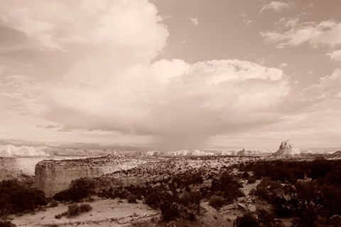 Framed Capitol Reef National Park, Utah (sepia) Print
