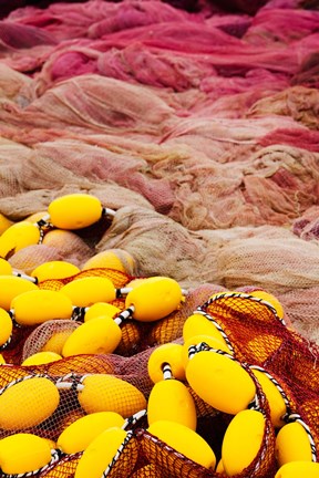 Framed Commercial Fishing Nets with Floats, Port-Vendres, Vermillion Coast, Pyrennes-Orientales, Languedoc-Roussillon, France Print
