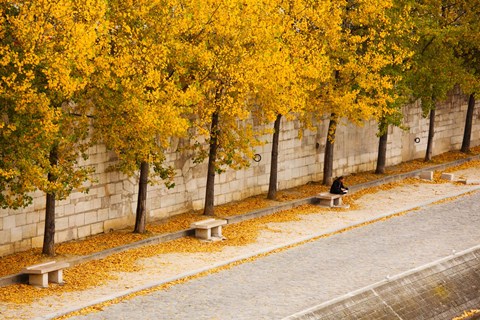 Framed Riverfront, Ile de la Cite, Paris, Ile-de-France, France Print