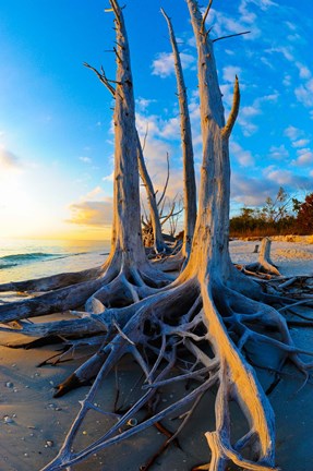 Framed Lovers Key State Park, Lee County, Florida Print