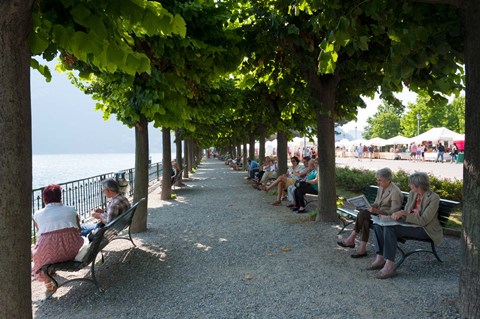 Framed People sitting on benches among trees at lakeshore, Lake Como, Cernobbio, Lombardy, Italy Print