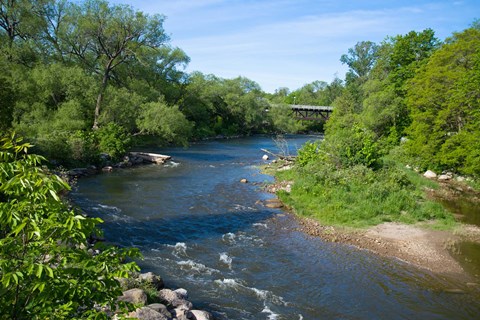 Framed River passing through a forest, Beaver River, Ontario, Canada Print