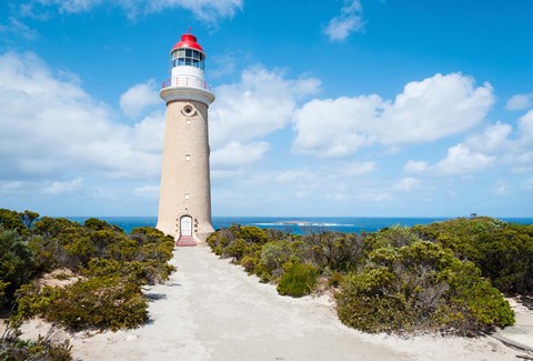 Framed Lighthouse at coast, Cape du Couedic Lighthouse, Flinders Chase National Park, Kangaroo Island, South Australia, Australia Print