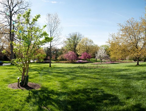 Framed Sherwood Gardens, Baltimore Print