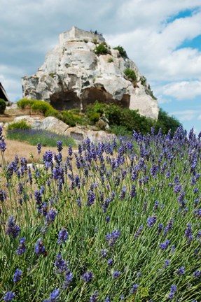 Framed Lavender field in front of ruins of fortress on a rock, Les Baux-de-Provence, Provence-Alpes-Cote d&#39;Azur, France Print