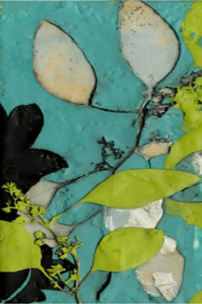 Framed Leaf Extraction I Print