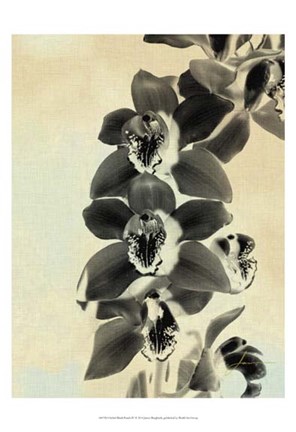 Framed Orchid Blush Panels IV Print