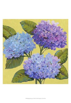 Framed Spring Hydrangeas I Print