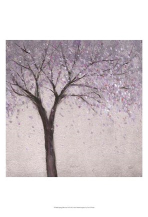 Framed Spring Blossom II Print