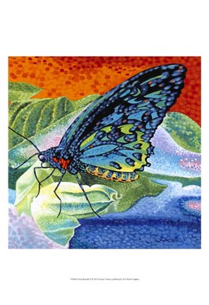 Framed Poised Butterfly II Print