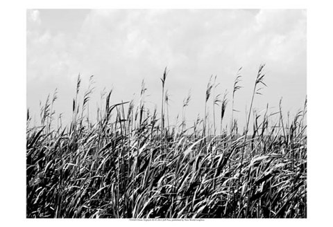 Framed Dune Triptych III Print