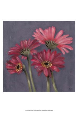 Framed Gerbers on Grey I Print