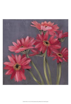 Framed Gerbers on Grey II Print