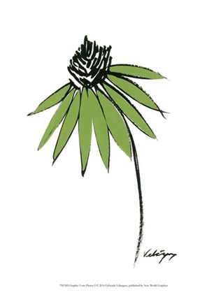 Framed Graphic Cone Flower I Print