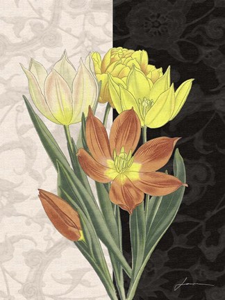 Framed Centerpiece II Print