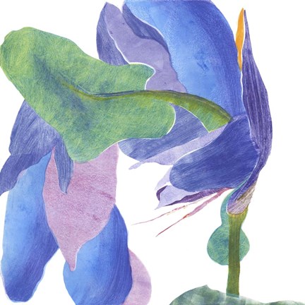 Framed Surprise Indigo II Print