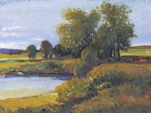 Framed Tree&#39;s Reflection I Print