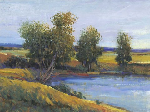 Framed Tree&#39;s Reflection II Print