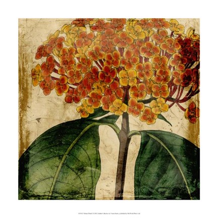 Framed Vibrant Floral I Print