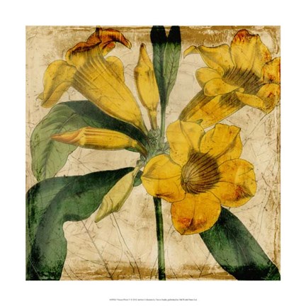 Framed Vibrant Floral V Print