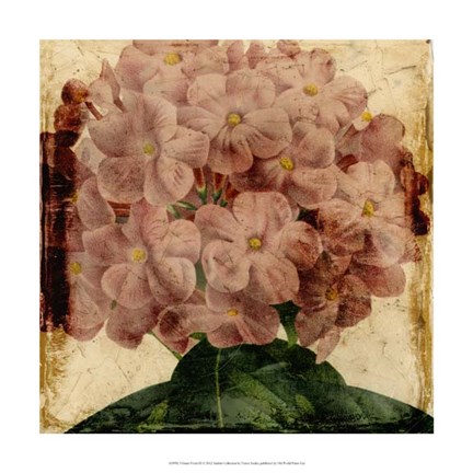 Framed Vibrant Floral IX Print