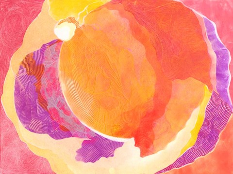 Framed Cabbage Rose V Print