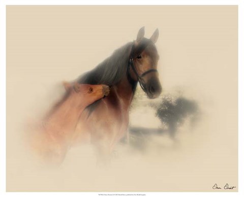 Framed Horse Portrait X Print