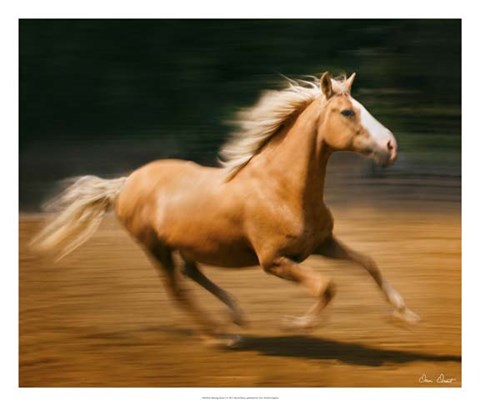 Framed Blazing Horse I Print