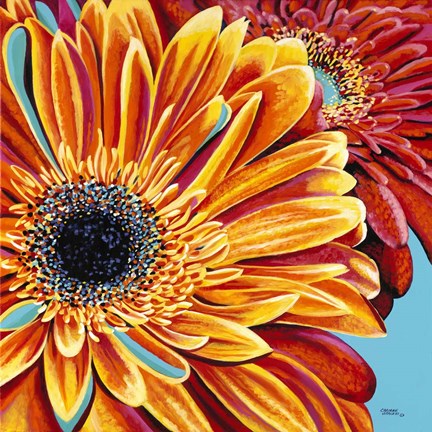 Framed Color Bursts II Print