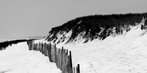 Framed Shore Panorama I Print