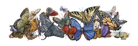 Framed Wings of Splendor I Print