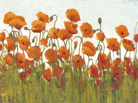 Framed Rows of Poppies II Print