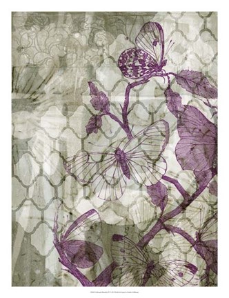 Framed Arabesque Butterflies IV Print