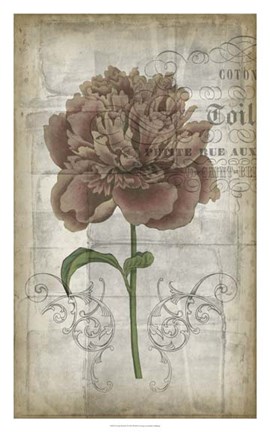 Framed French Floral IV Print